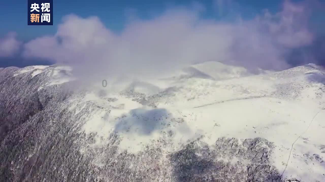 坦克大乱斗