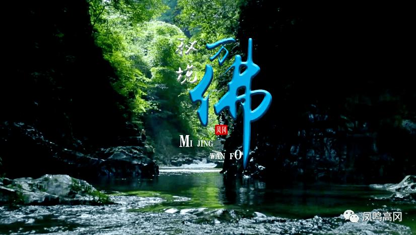 金科地产集团股份有限公司成被执行人,被执行金额330456.0元