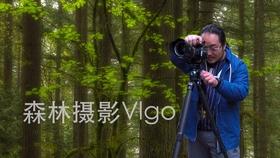 杂草丛生很可怕？一刀割下斩乱麻