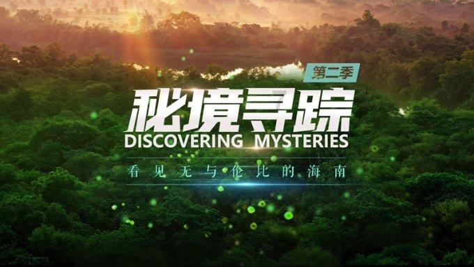 戳泡泡练口算