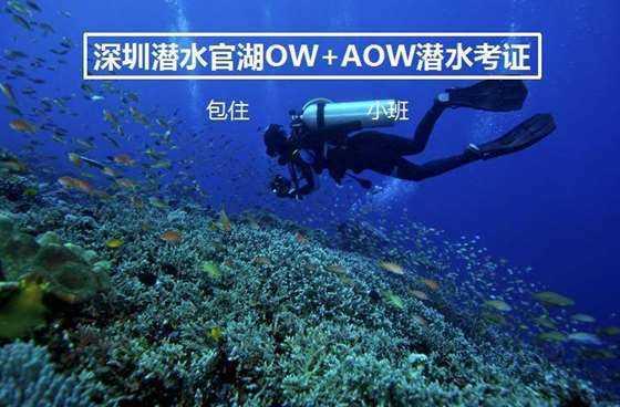 汉台多举措绘就美丽幸福河湖新画卷