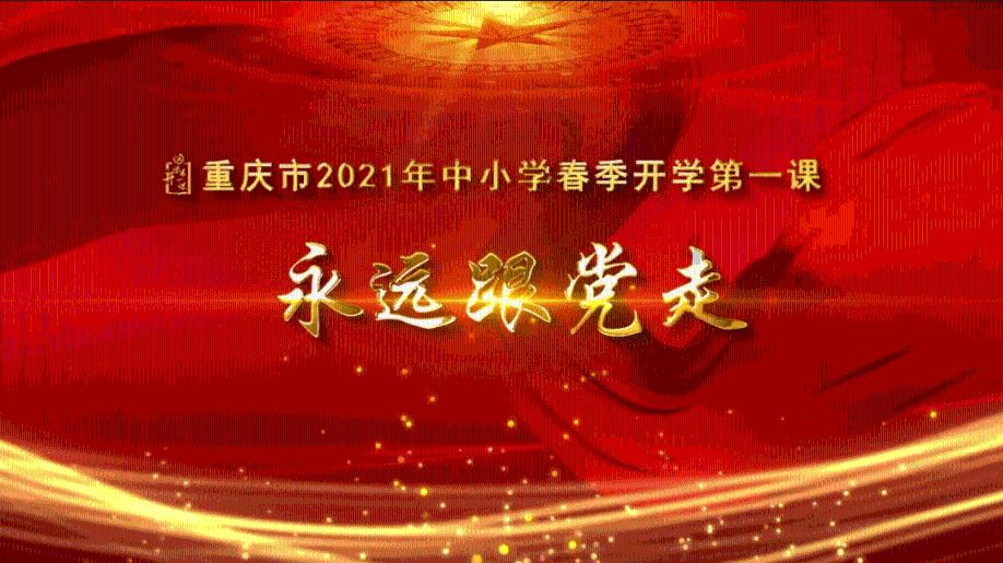 寂静森林找星星