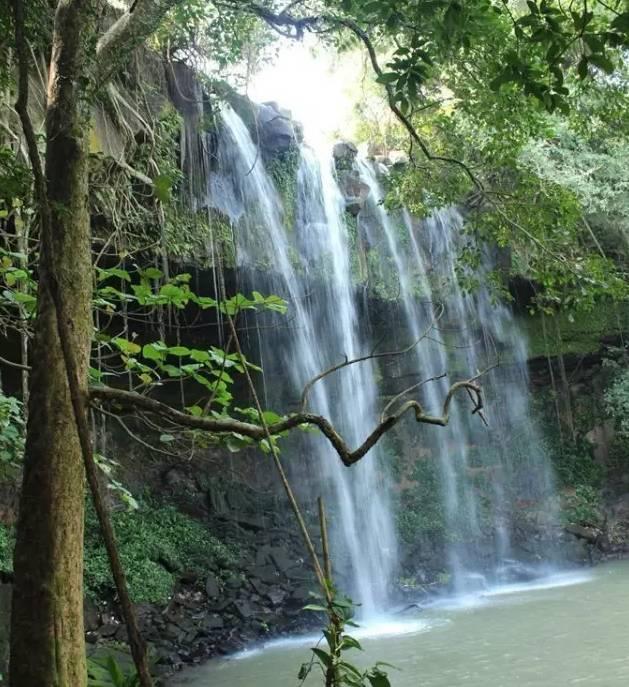 菲律宾矿区山体滑坡死亡人数升至10人