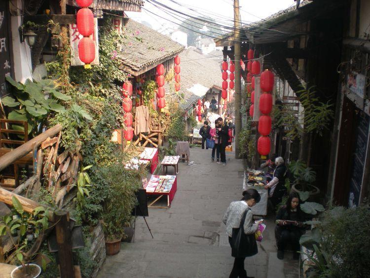有趣的动物拼图